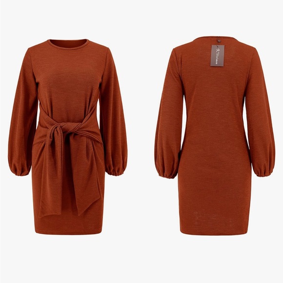 Elegant Knitted Bodycon Tie Waist Sweater Pencil Dress - Burnt Orange, Large - Picture 3 of 3